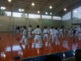 /album/fotogaleria/a1000089-560609227333868-2053439117-n-jpg/